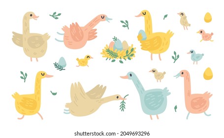 Vector doodle geese. Illustration with farm birds