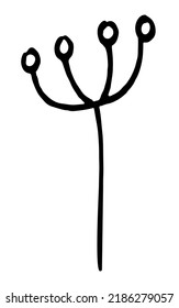 Vector doodle grass branch, berry, inflorescence, black and white drawing, sketch.