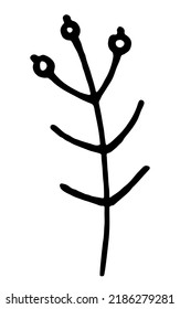 Vector doodle grass branch, berry, inflorescence, black and white drawing, sketch.