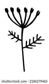 Vector doodle grass branch, berry, inflorescence, black and white drawing, sketch.