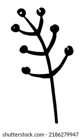 Vector doodle grass branch, berry, inflorescence, black and white drawing, sketch.