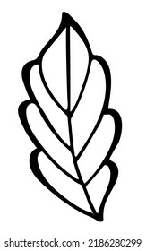 Vector doodle grass branch, berry, inflorescence, black and white drawing, sketch.