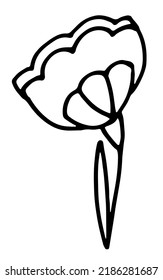 Vector doodle grass branch, berry, inflorescence, black and white drawing, sketch.
