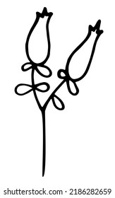 Vector doodle grass branch, berry, inflorescence, black and white drawing, sketch.