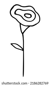 Vector doodle grass branch, berry, inflorescence, black and white drawing, sketch.