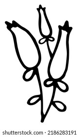 Vector doodle grass branch, berry, inflorescence, black and white drawing, sketch.
