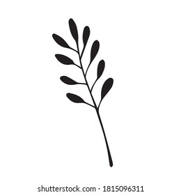 vector doodle hand drawn floral element