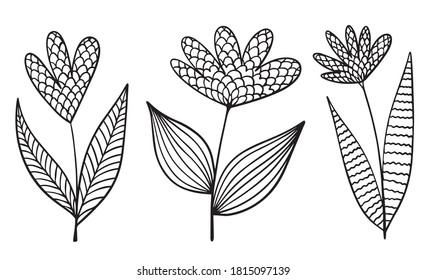 flores dibujadas a mano del doodle vectorial