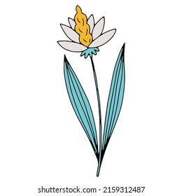 Vector doodle hand drawn flowers and herbal design elements. Line art leaves and floral objects. Vector illustration