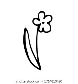 vector doodle hand drawn icon of a flower. isolated on a white background. natural graphic decorative element.