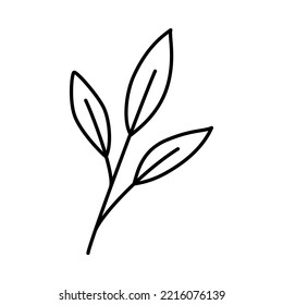 Vector doodle hand drawn illustration of a branch with leaves