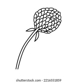 Dibujo a mano de doodle vectorial de una flor pradera