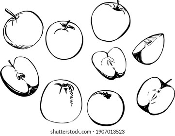 Vector doodle hand-drawn grunge black apple set isolated black outlines ink