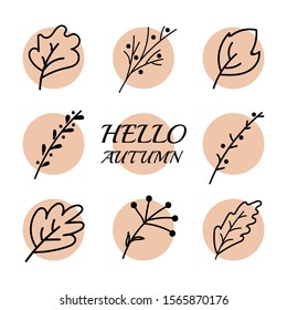 Vector doodle. Hello autumn. leaves set. Set of icons.