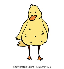 vector doodle icon of a hand-drawn cartoon duck. isolated on a white background. farm bird. graphic decorative element. duckling