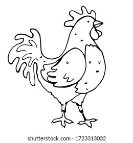 vector doodle icon of a hand-drawn rooster. isolated on a white background. farm bird. graphic decorative element.