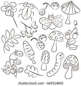 Vector doodle icon set with mushroom, warm, bug, strawberry and leaf. Nature collection of childish characters and plants.