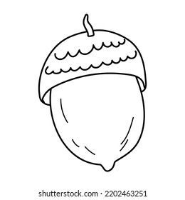 Vector doodle illustration of acorn