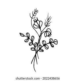 Vector doodle illustration of a bouquet of wild flowers, herbs, twigs on a white background isolated