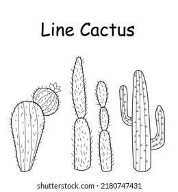 Vector doodle illustration of cactus. Set of hand drawn cactus elements. Doodle mexican cactus.