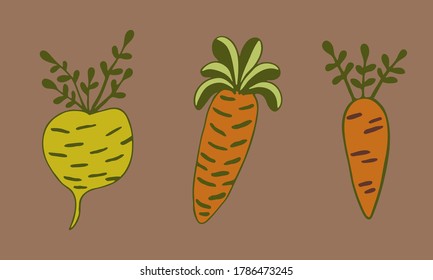 Vector doodle illustration of carrots and turnip. Hand drawn healthy farm vegetables isolated on white background. Organic veggie grown in the garden.
