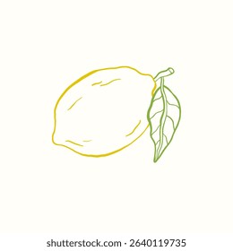 Vector doodle illustration of citrus fruit lemon