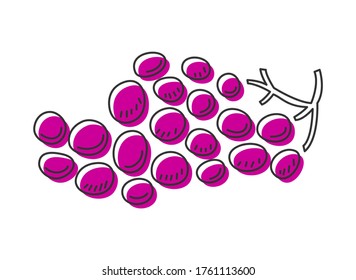 Vector doodle illustration of grape