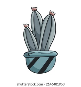 Vector doodle illustration of home plant, cactus in a pot isolated on white.