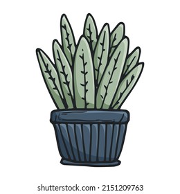Vector doodle illustration of home plant, cactus in a pot.