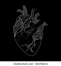 Vector doodle illustration of human heart
