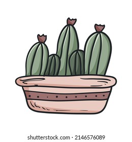 Vector doodle illustration of planter with cactus home plants set isolated on white.