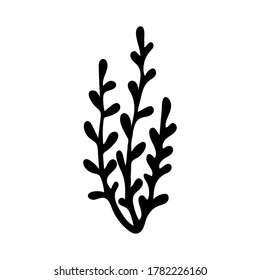 Vector doodle illustration of potherbs. Hand drawn healthy farm vegetable isolated on white background. Organic veggie grown in the garden.