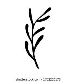 Vektordoodle-Illustration von Potherben. Handgezeichnet gesundes Gemüse auf weißem Hintergrund. Bio-Veggie im Garten angebaut.