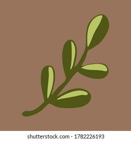 Vector doodle illustration of potherbs. Hand drawn healthy farm vegetable isolated on white background. Organic veggie grown in the garden.