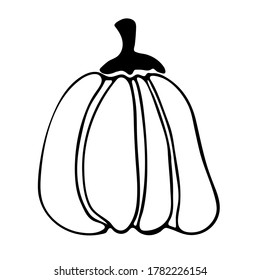 Ilustración vectorial del doodle de la calabaza. Hubiera extraído mano de vegetales sanos de granja aislados en el fondo blanco. Verduras orgánicas cultivadas en el jardín.