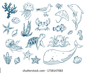 Vector Doodle Illustration Set Sea Creatures And Plants. Fish, Turtle, Whale, Dolphin, Jellyfish, Octopus, Sea Horse, Seaweed, Molluscs. Cartoon Coloring Book Undersea World.