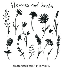 Vector Doodle illustration with silhouettes of different isolated flowers and herbs. Sketch techniques, hand drawing, black and white