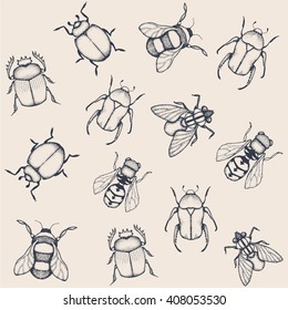 Vector doodle insects. Vector pattern.