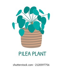 Vector doodle isolated image of a tropical house pilea plant in a pot.