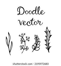 Vector doodle leaves and branch set. Black silhouette line illustration
