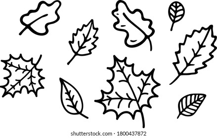Vector doodle leaves set. Autumn leaves of different trees. Black contours isolated on a white background. 
