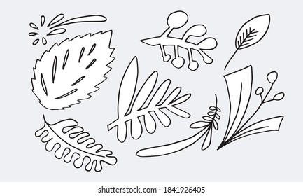 Hojas de doodle vectoriales para el diseño conceptual.