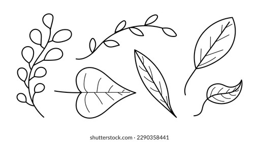 Vector doodle leaves set. Hand drawing different leaves collection isolated on white background. Hand drawn black line design elements. Vector illustration