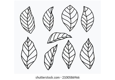 Vector doodle leaves set. vector illustration
