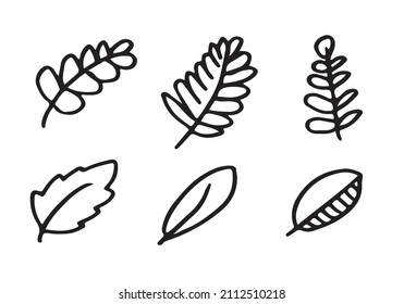 Hojas de doodle vectoriales colocadas sobre fondo blanco.
