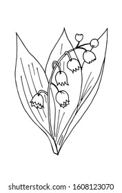 Vector doodle lilies of the valley