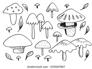 Vector doodle mushroom on white background. Illustration of healthy organic food