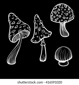 Vector doodle  mushrooms on black background. Tattoo style, handy drawn poison  mushrooms line art. Vector set mushrooms. Chalk mushrooms.