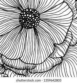 Vector doodle outline abstract ornamental flowers stripe background. Funky backdrop for coloring book