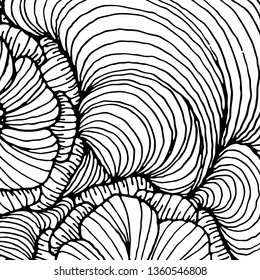 Vector doodle outline abstract ornamental flowers stripe background. Funky backdrop for coloring book